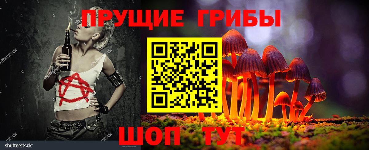 Псилоцибиновые грибы мухоморы Петропавловск-Камчатский