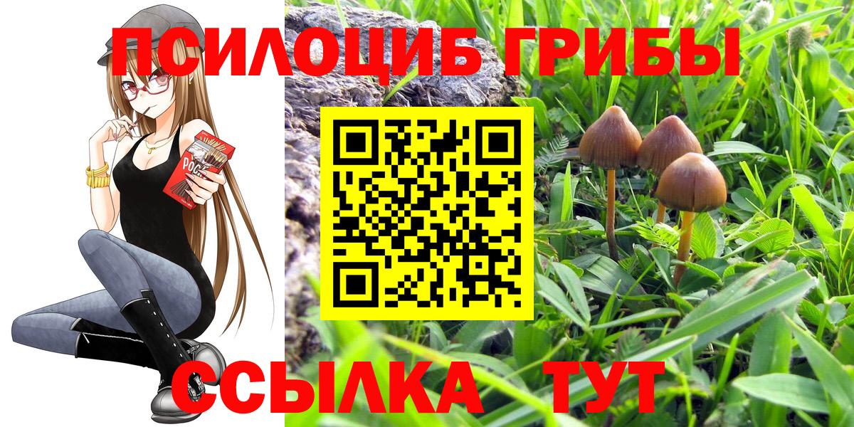 Галлюциногенные грибы мухоморы  Вход с VPN  Петропавловск-Камчатский 
